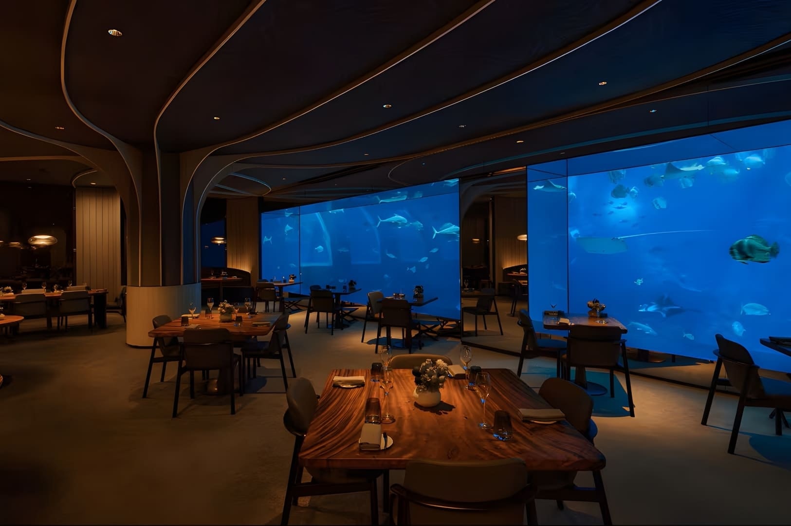 An aquarium in Ocean Restaurant, featuring tables and chairs for underwater dining at Sentosa.