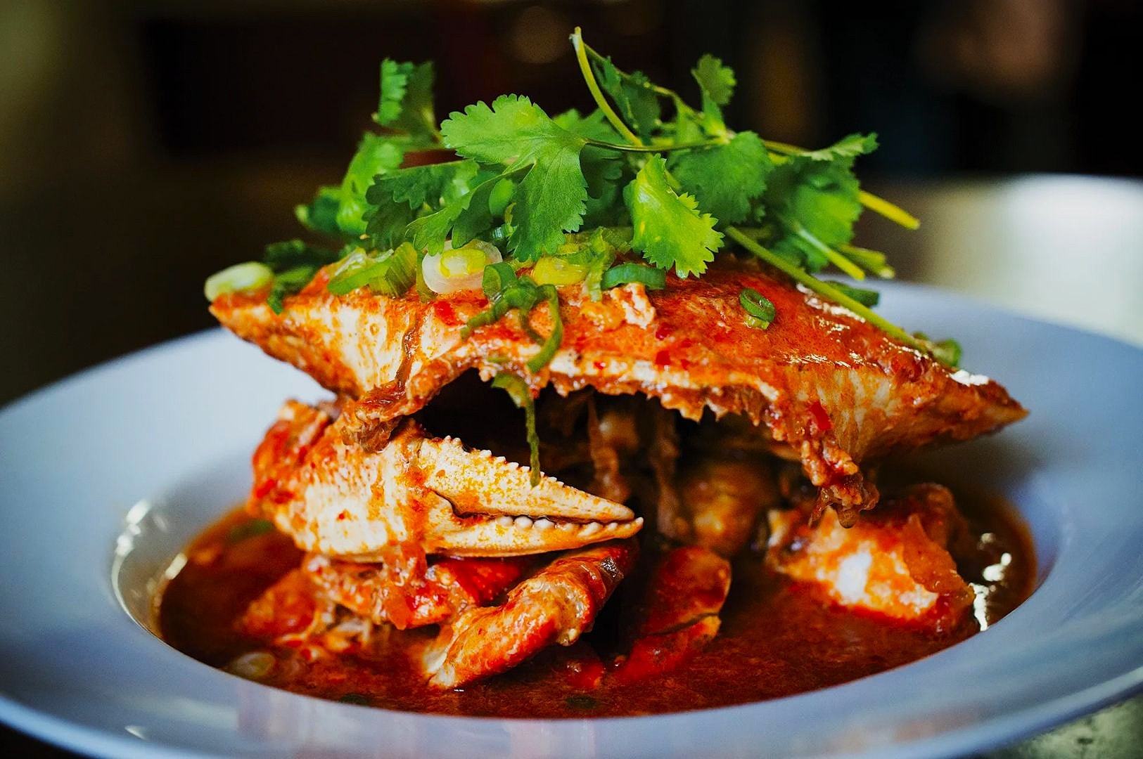 A dish of spicy red curry crab on a white plate, garnished with fresh cilantro and green onions, creating a vibrant and appetizing presentation.