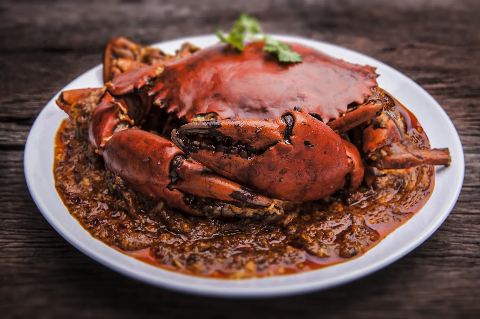 Singapore chilli crab served whole on a plate, featuring a mud crab coated in rich, spicy tomato‑based chilli sauce, a signature local seafood dish.